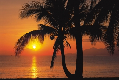 Fototapeta západ slunce na Palm Beach Sunrise