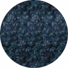 Samolepící fototapeta kruh - Mother Nature - Modrý